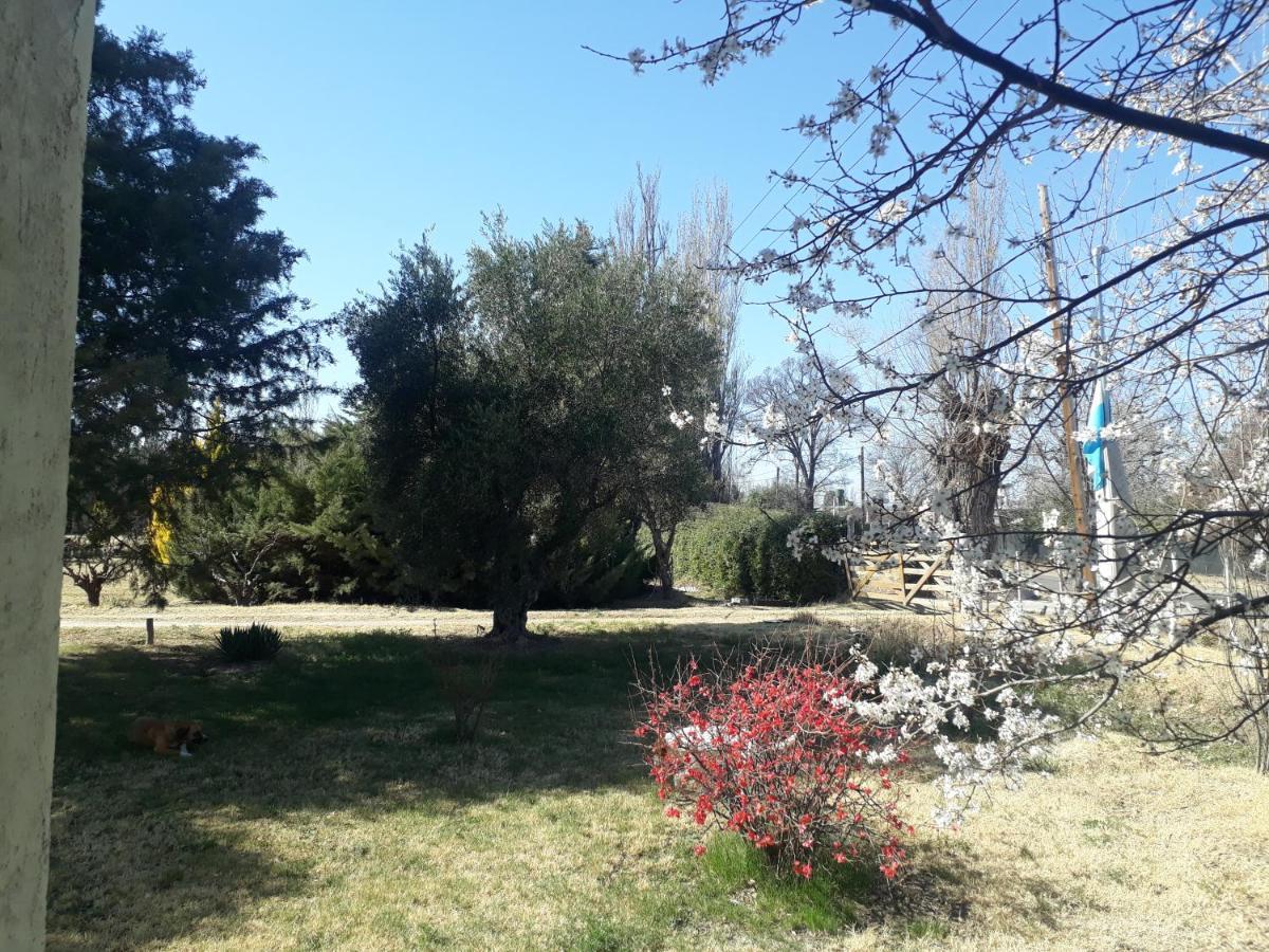 Casa De Campo Las Olivas San Rafael  Buitenkant foto