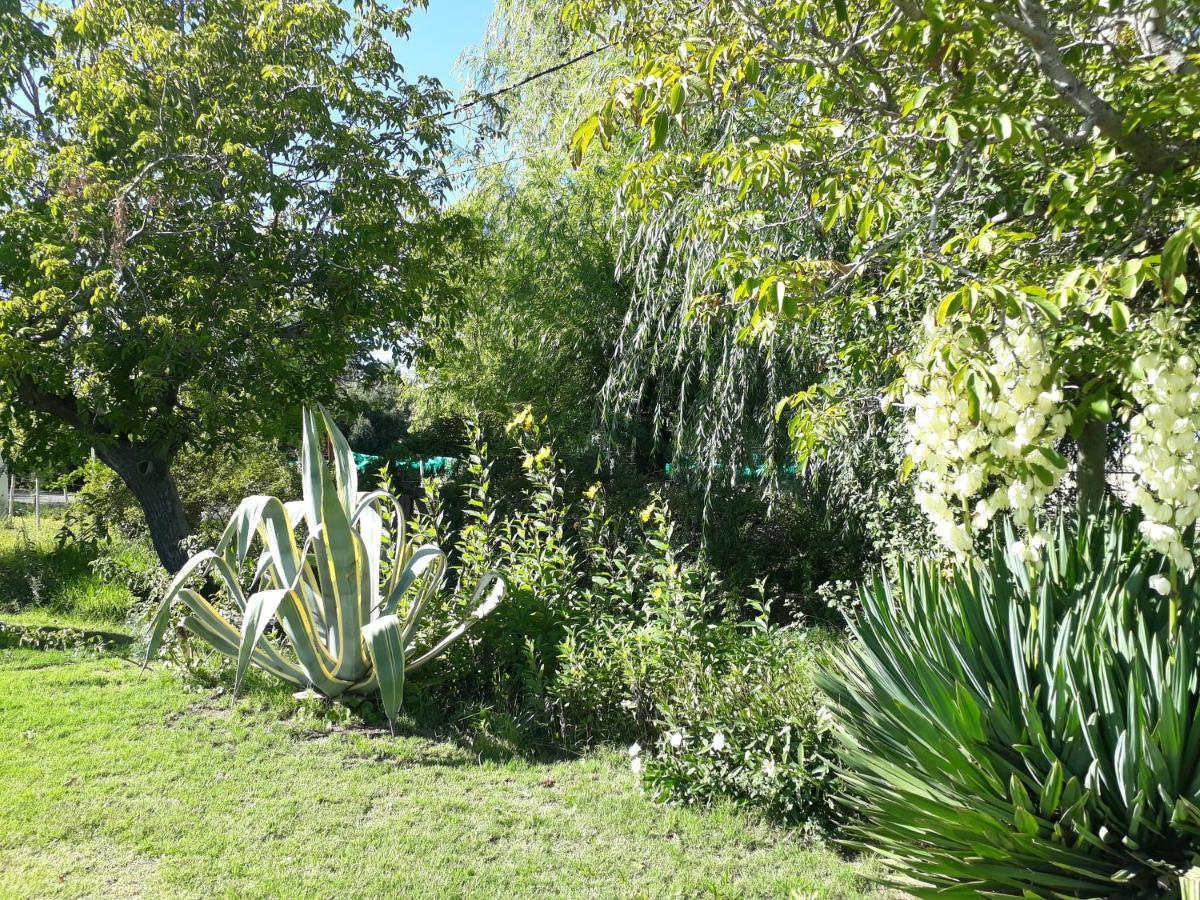 Casa De Campo Las Olivas San Rafael  Buitenkant foto